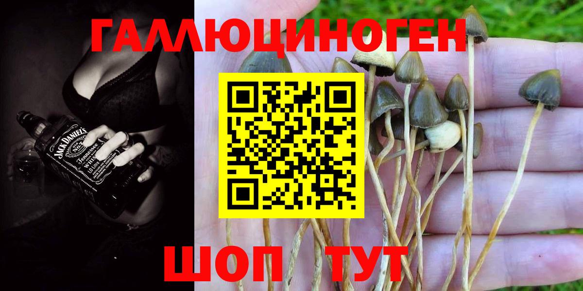 Галлюциногенные грибы Magic Shrooms  Псилоцибиновые грибы MAGIC MUSHROOMS  Вход с VPN  Знаменск 